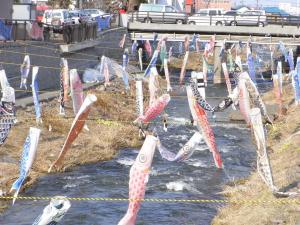 Koinobori, Carp-shaped Streamers2