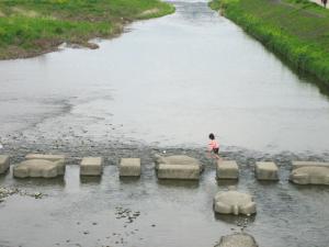 京都鴨川|Copyright (C) Kazuo Yamamoto